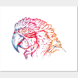 Parrot Head Posters and Art